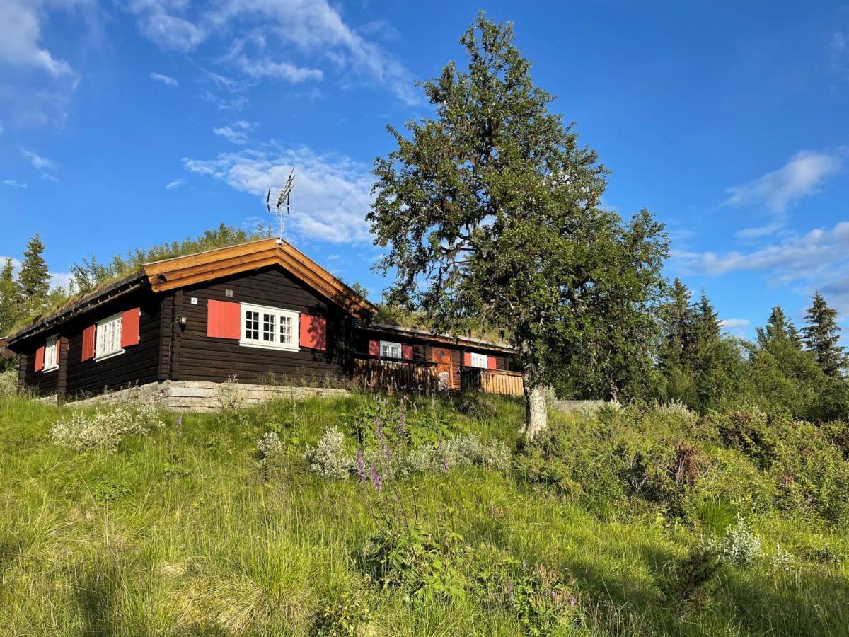 Holiday home Elveseter - Log With An Amazing View *