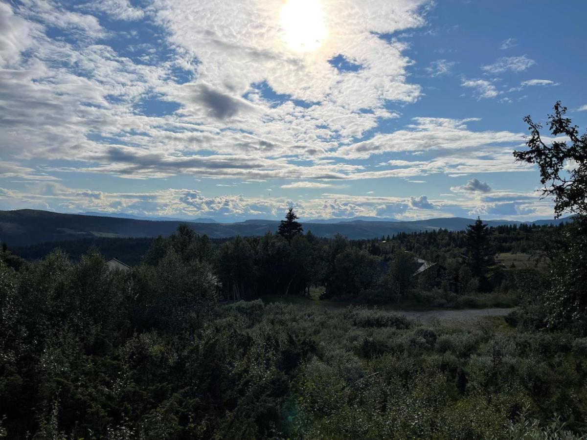 Elveseter - Log With An Amazing View Lunde (Oppland)