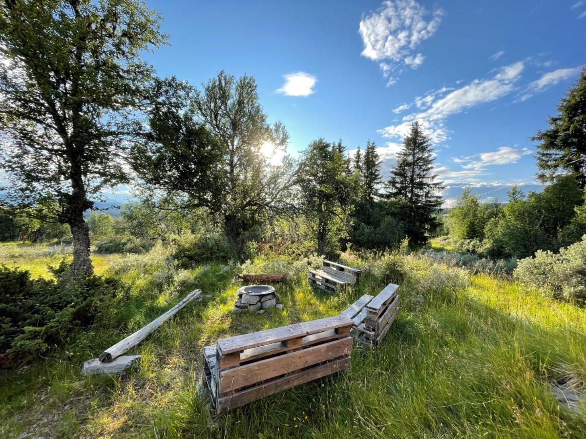 Elveseter - Log With An Amazing View *
