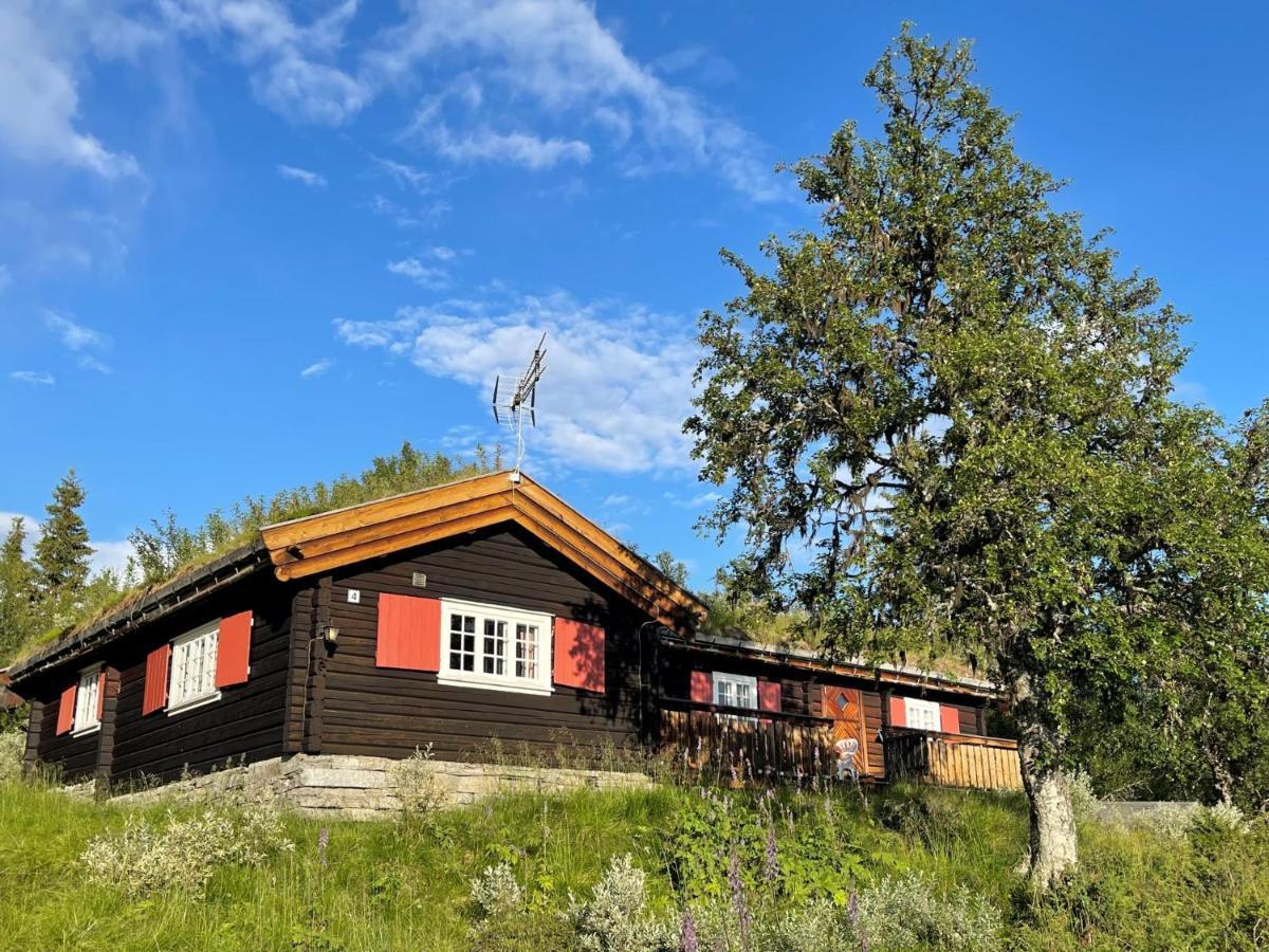 Elveseter - Log With An Amazing View Holiday home