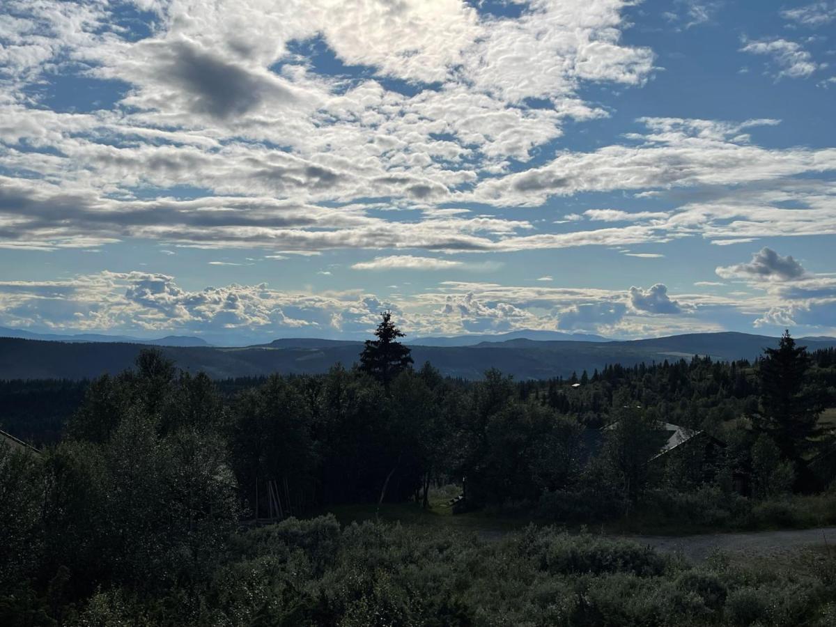 Elveseter - Log With An Amazing View * Lunde (Oppland)