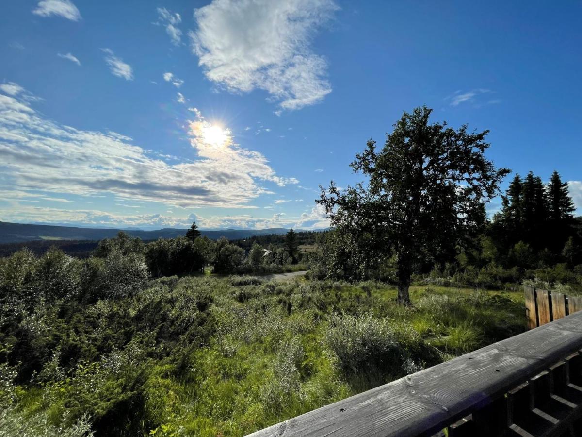 Elveseter - Log With An Amazing View Lunde (Oppland)